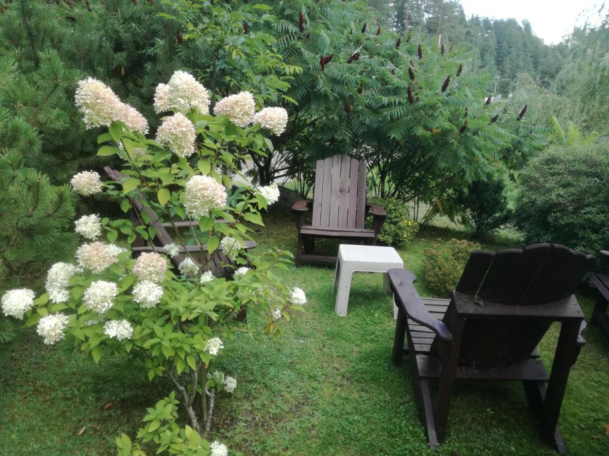 Sveciu Namai Aldaivita Ignalina Eksteriør bilde