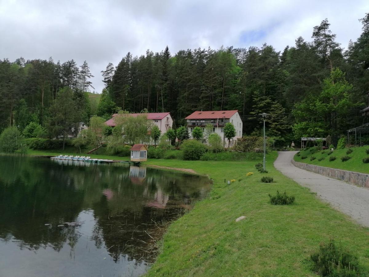 Sveciu Namai Aldaivita Ignalina Eksteriør bilde
