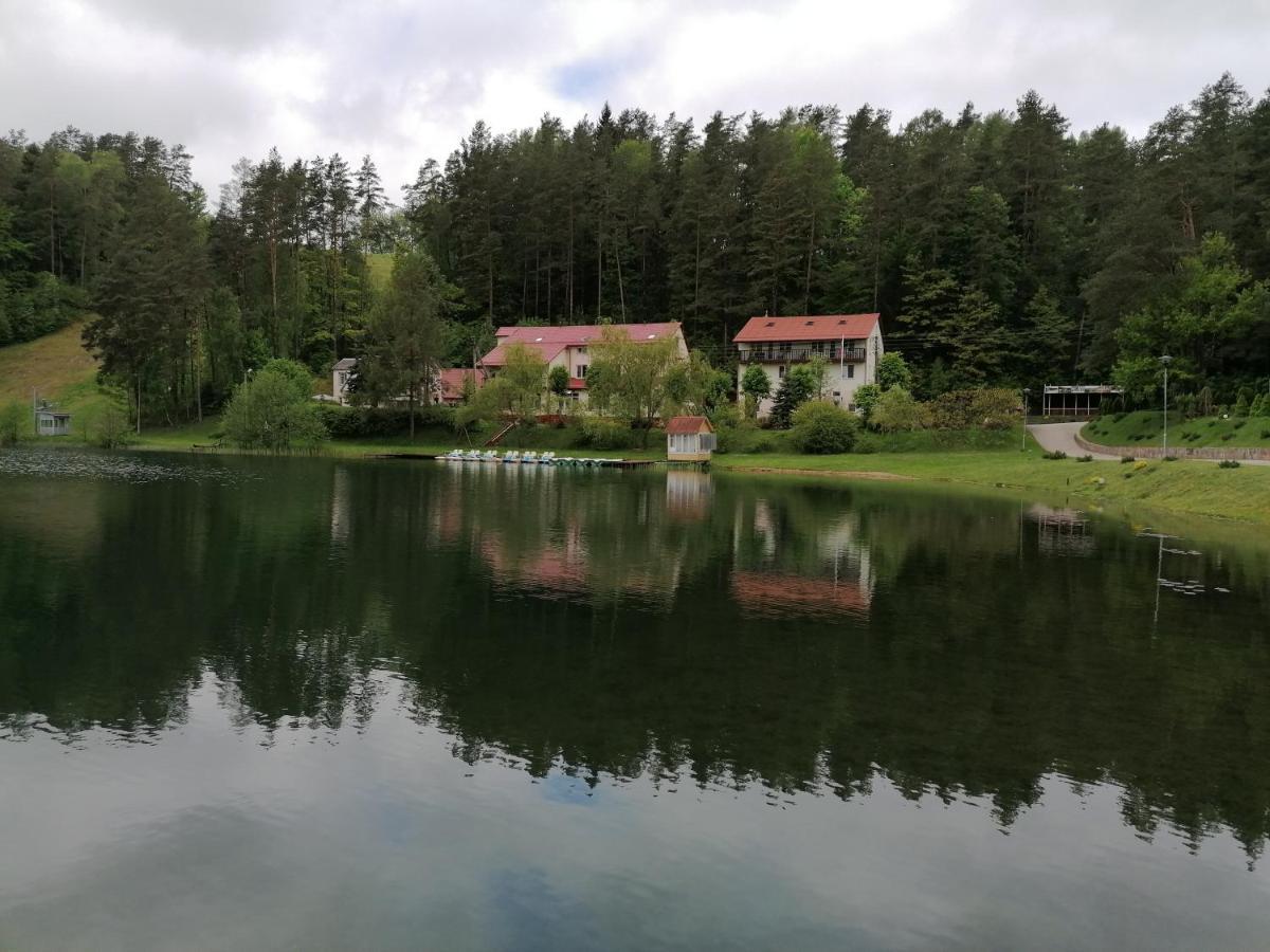 Sveciu Namai Aldaivita Ignalina Eksteriør bilde