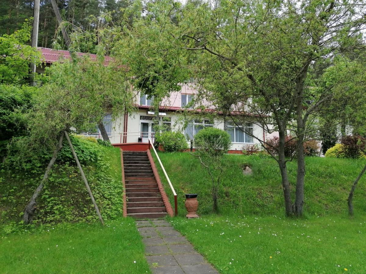 Sveciu Namai Aldaivita Ignalina Eksteriør bilde