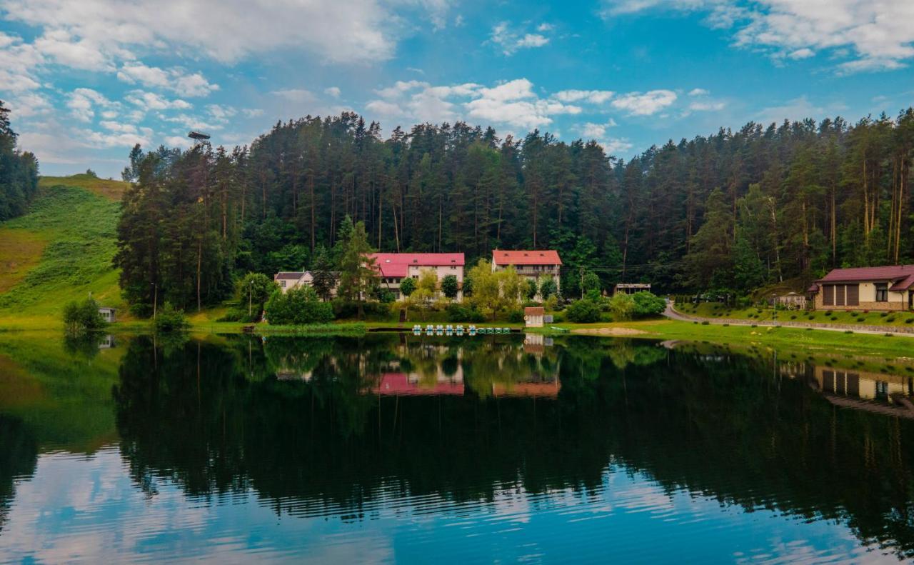 Sveciu Namai Aldaivita Ignalina Eksteriør bilde